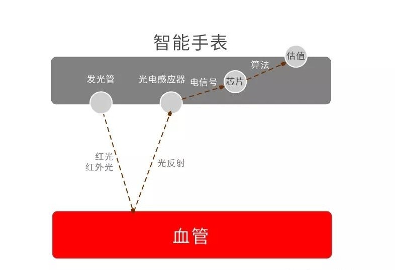 智能手表測血氧原理