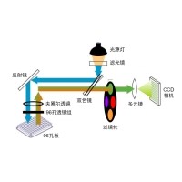 什么是熒光定量PCR、數(shù)字PCR？