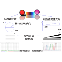 線性漸變?yōu)V光片是什么？有何特點？